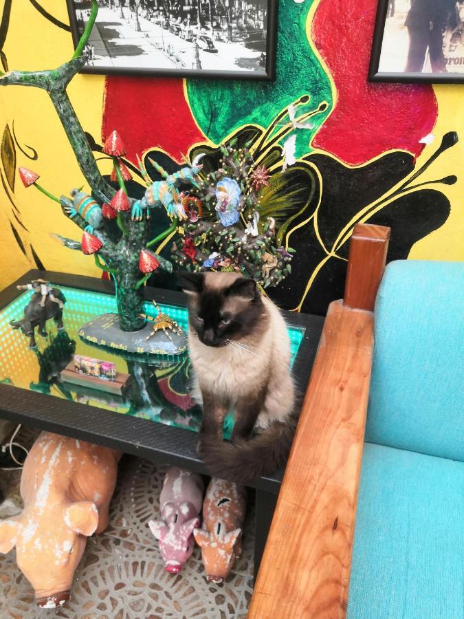 Hostal Oaxaca Magic Екстериор снимка